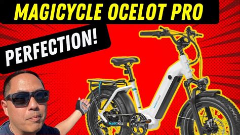Magic cycle ocelot pro